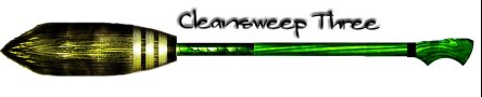 КРМНАТА ЛИЛИ БЛЭК! Cleansweep3