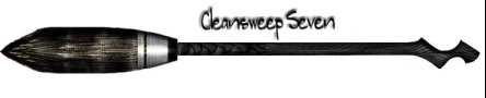 КРМНАТА ЛИЛИ БЛЭК! Cleansweep7